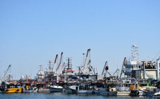 Checklist de pré-saison pour les pêcheurs : 30 vérifications cruciales à faire avant de lever la mer