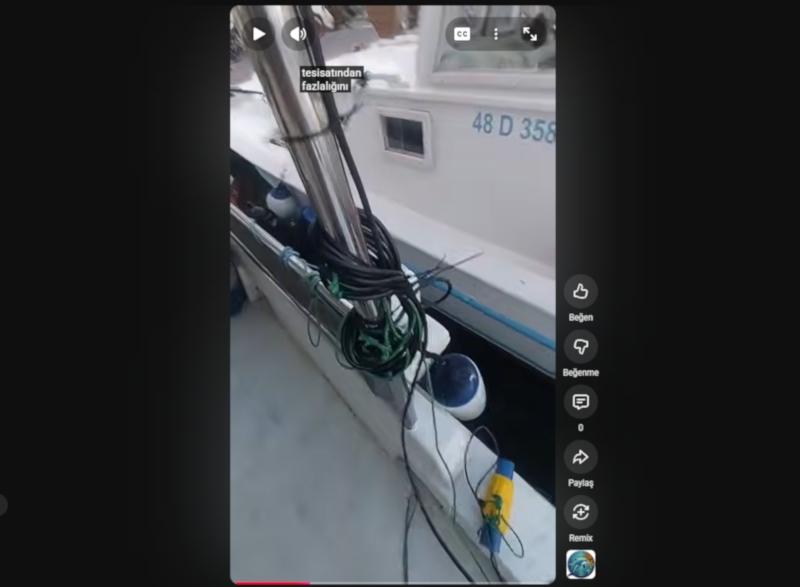 Dolpinger K-12 Kullanıcısı