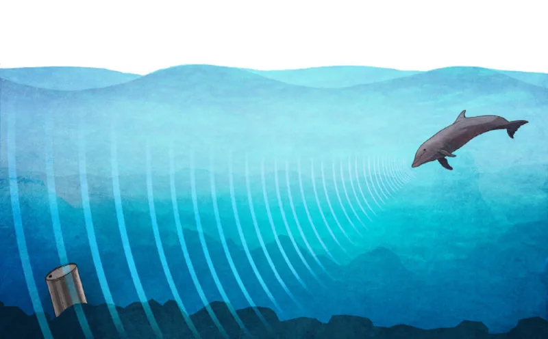 Acoustic Deterrent Device (ADD) Nedir? Deniz Memelileriyle Güvenli Balıkçılık İçin Akustik Çözümler