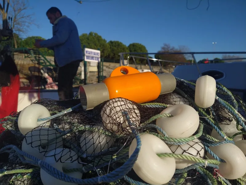 What is Dolphin Pinger? Acoustic Technology That Helps Protect Fishing Nets Against Dolphin Damage